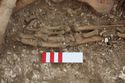 Thumbnail of Photo 006568 Skeleton 605282 left hand