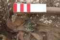 Thumbnail of Photo 006574 Skeleton 605282 disk brooch