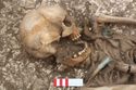 Thumbnail of Photo 006577 Skeleton 605282 skull