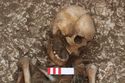 Thumbnail of Photo 006578 Skeleton 605282 skull