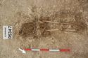 Thumbnail of Photo 006906 Skeleton 605347 overview