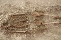 Thumbnail of Photo 006916 Skeleton 605347 torso