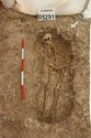 Thumbnail of Photo 006920 Skeleton 605291 overview