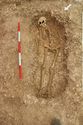 Thumbnail of Photo 006921 Skeleton 605291 overview no board