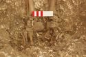 Thumbnail of Photo 006922 Skeleton 605291 feet