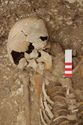 Thumbnail of Photo 006931 Skeleton 605291 skull