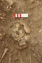 Thumbnail of Photo 007018 Skeleton 605267 skull