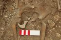 Thumbnail of Photo 007020 Skeleton 605267 pelvis