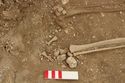 Thumbnail of Photo 007021 Skeleton 605267 feet