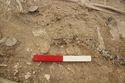 Thumbnail of Photo 007495 Skeleton 605377 Iron object