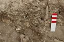 Thumbnail of Photo 007693 Skeleton 605273 Iron object
