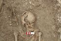 Thumbnail of Photo 007702 Skeleton 605273 skull