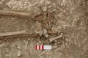 Thumbnail of Photo 007832 Skeleton 605350 feet