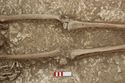 Thumbnail of Photo 007833 Skeleton 605350 knees