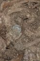 Thumbnail of Photo 008619 SF993 Copper Brooch