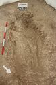 Thumbnail of Photo 008796 Skeleton 605386