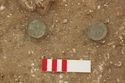 Thumbnail of Photo 008801 Skeleton 605386 SF1002, 1003 Copper Disc Brooches together