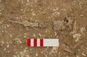 Thumbnail of Photo 008808 Skeleton 605386 SF1006 Iron Knife and SF1005 Buckle