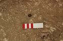 Thumbnail of Photo 008810 Skeleton 605386 SF1004 Bead