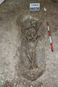 Thumbnail of Photo 009143 Skeleton 606038