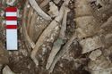 Thumbnail of Photo 009148 Skeleton 606038 SF1010 Copper Fitting