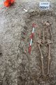 Thumbnail of Photo 009334 Skeleton 606041 skull