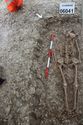 Thumbnail of Photo 009335 Skeleton 606041 skull no scale