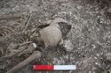 Thumbnail of Photo 009518 Skeleton 606041 skull