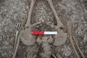 Thumbnail of Photo 009522 Skeleton 606041 pelvis detail