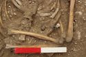 Thumbnail of Photo 009537 Skeleton 606027 beads