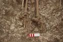Thumbnail of Memorial Garden Photo 02140 Skeleton 608622 feet