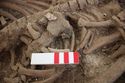 Thumbnail of Memorial Garden Photo 02145 Skeleton 608622 bead?