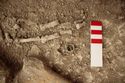 Thumbnail of Memorial Garden Photo 02428 Skeleton 608659 ring