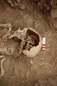 Thumbnail of Memorial Garden Photo 02431 Skeleton 608659 skull