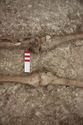 Thumbnail of Memorial Garden Photo 02784 Skeleton 608678 knees