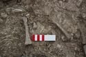 Thumbnail of Memorial Garden Photo 03092 Skeleton 608675 pelvis