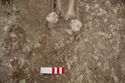 Thumbnail of Memorial Garden Photo 04017 Skeleton 608707 feet
