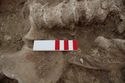 Thumbnail of Memorial Garden Photo 04022 Skeleton 608707 Copper belt clasp SF1936