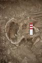 Thumbnail of Memorial Garden Photo 04025 Skeleton 608707 skull