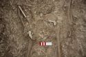 Thumbnail of Memorial Garden Photo 04293 Skeleton 608724 pelvis and hands