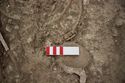 Thumbnail of Memorial Garden Photo 04294 Skeleton 608724 bucke SF1946