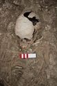 Thumbnail of Memorial Garden Photo 04296 Skeleton 608724 skull