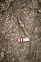 Thumbnail of Memorial Garden Photo 04298 Skeleton 608724 spearhead SF1945