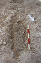 Thumbnail of Memorial Garden Photo 04612 Skeleton 608738 overview no board