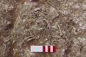 Thumbnail of Memorial Garden Photo 04614 Skeleton 608738 abdomen