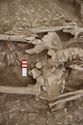 Thumbnail of Memorial Garden Photo 04723 Skeleton 608701 pelvis