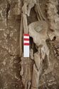 Thumbnail of Memorial Garden Photo 04727 Skeleton 608701 pelvis and knife SF1953