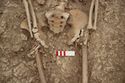 Thumbnail of Memorial Garden Photo 04964 Skeleton 608743 pelvis