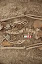 Thumbnail of Memorial Garden Photo 04965 Skeleton 608743 abdomen