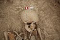 Thumbnail of Memorial Garden Photo 04969 Skeleton 608743 skull